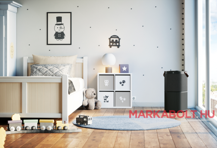 Electrolux PA91-404DG légtisztító 